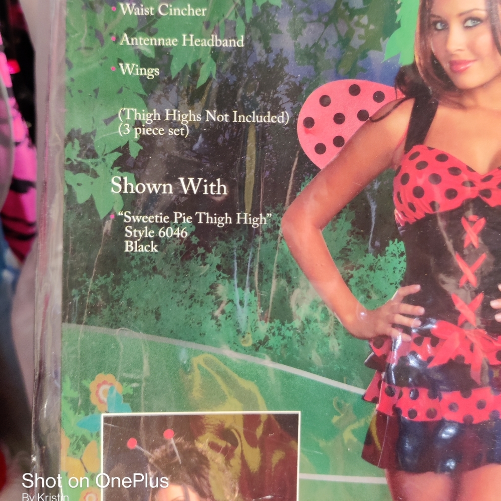 A ladybug Ladies costume - Picture 3 of 12